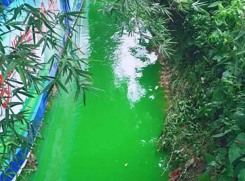 觸目驚心!水全都“染綠”了!多家企業(yè)被查處! 觸目驚心!水全都“染綠”了!多家企業(yè)被查處!