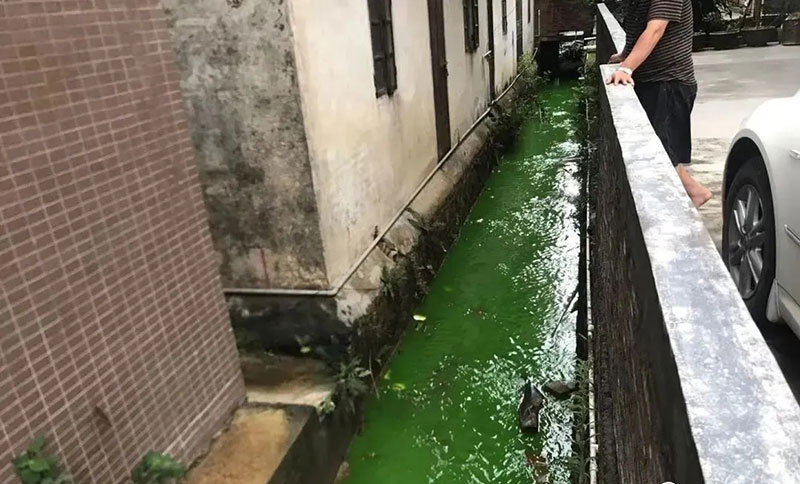 觸目驚心!水全都“染綠”了!多家企業(yè)被查處! 觸目驚心!水全都“染綠”了!多家企業(yè)被查處!