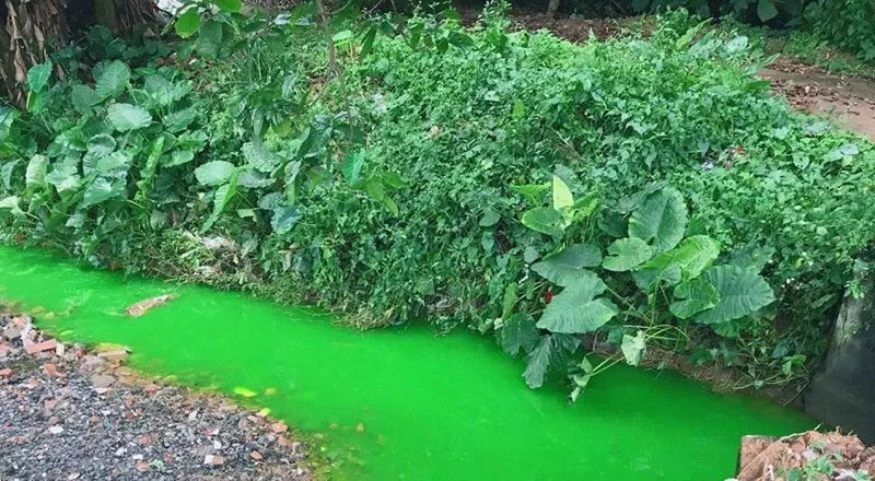 觸目驚心!水全都“染綠”了!多家企業(yè)被查處! 觸目驚心!水全都“染綠”了!多家企業(yè)被查處!
